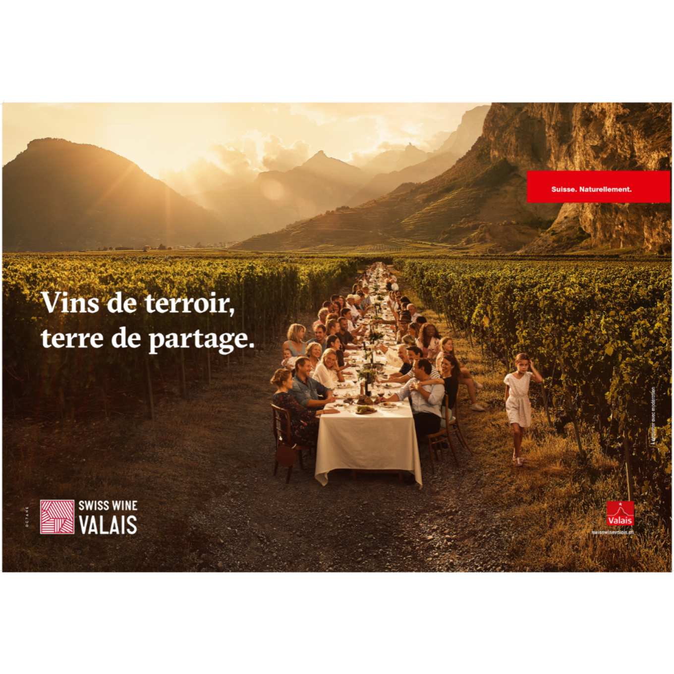 Image de Affiche Swiss Wine Valais en paysage