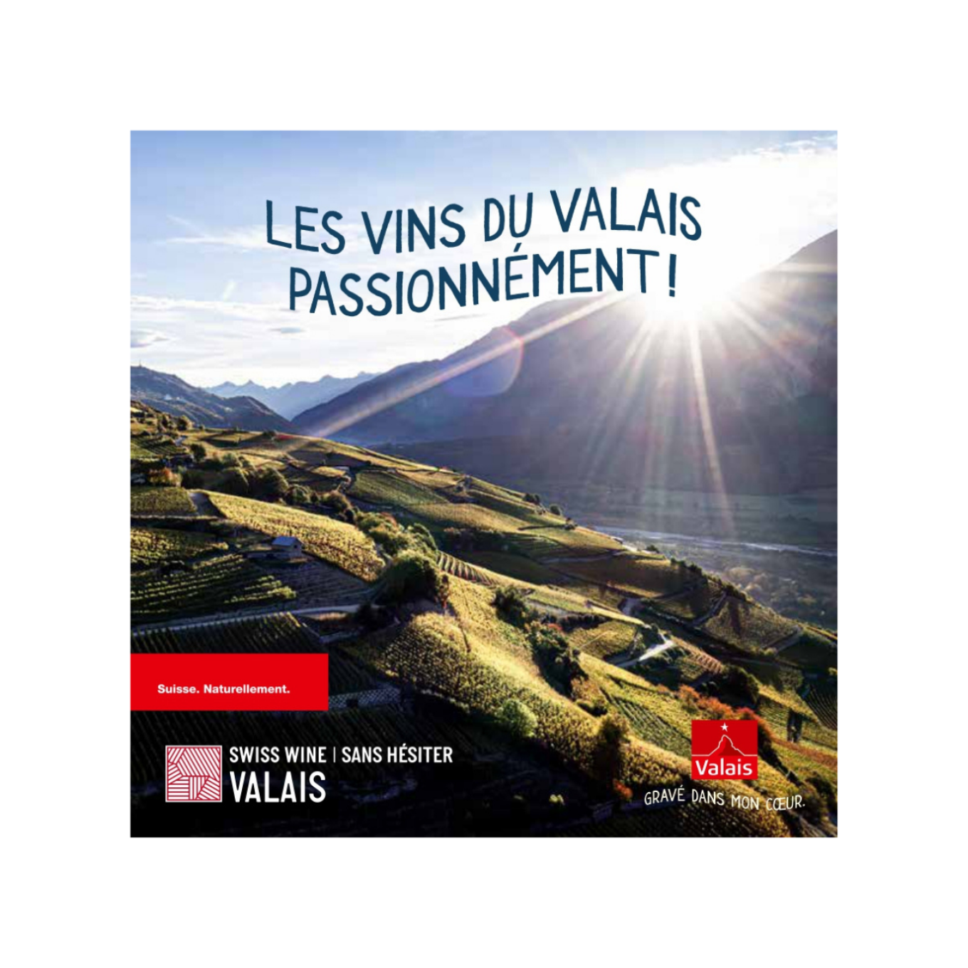 Image de Brochure Swiss Wine Valais