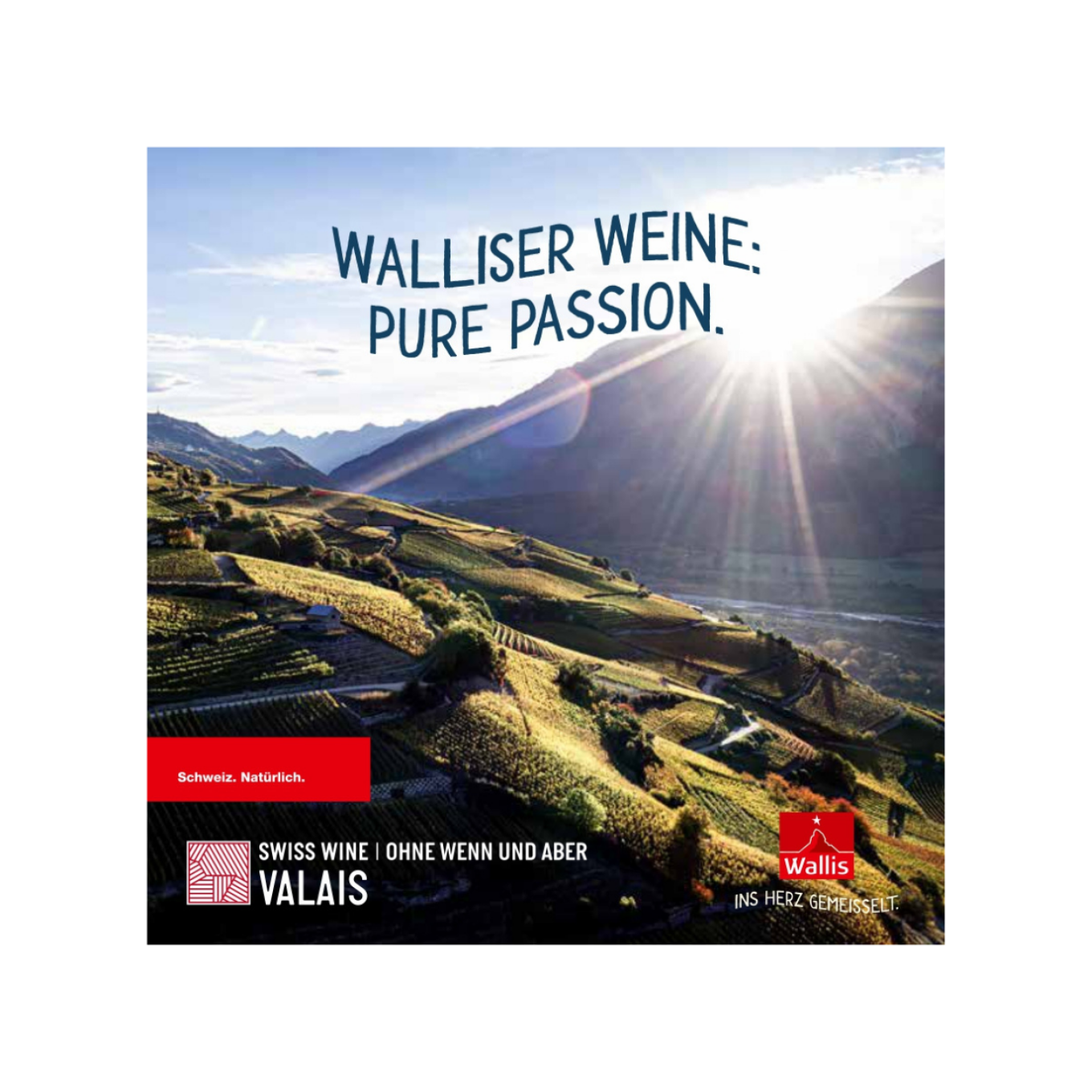 Bild von Broschuere Swiss Wine Valais